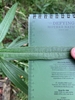 Leaf detail