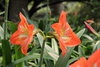 Form