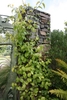 Form climbing on a structure