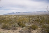 Arizona desert landscape with mountains in the background.