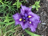 Form