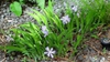 Form
