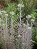 Growing in a group