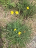 Form