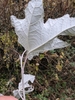 Leaf underside in November in Croydon County, United Kingdom