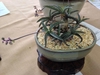 Potted plants with spotted leaves.