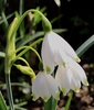 Close up