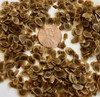 Seeds - Wake County, NC