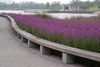 Mass planting