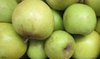 Malus domestica "Mutsu"