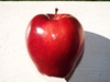Malus domestica "Red Delicious"