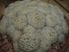 Form