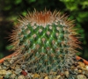 Form