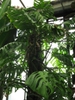 Form