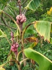 Form