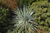 Form under Sun