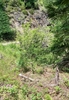 Form