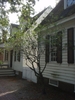 A branched shrub with sparse foliage next to a house.