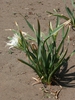 Form