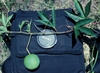 vine bearing a round, green, golf-ball-sized fruit.
