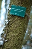 Bark