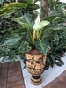 Leaves with white pinstripes; decorative container