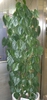 Form