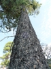 Form looking up