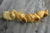 Tannish rhizome