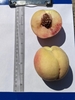 Two peaches: one whole & one-half fruit sitting on a clipboard.