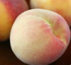 Prunus persica 'China Pearl'