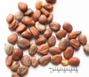 Seeds