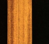 Rorippa palustris L.