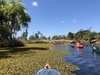 Kayakers & lake surface partially obstructed by a mat of fern.
