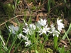Form