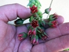 Sedum morganianum bloom