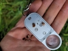 Seeds in July in Skane County, Sweden