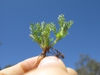 Side view