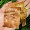 Hand holding papery strips of coppery bark with lenticels.