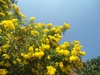 Form