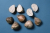 Bulbs