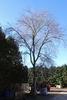 Winter form
