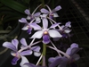 Form