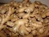 Ginger Rhizomes