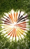 carrots that are purple, yellow, white, and orange
