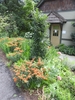 'Tokyo Tower' Form