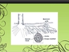 Ectomycorrhizal