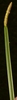 Square stem
