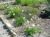 Form in the spring in Moore County