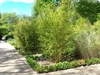 Grown in hardscape